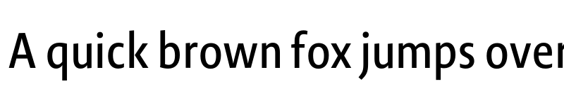 Preview of Novel Sans Cy XCnd Medium font