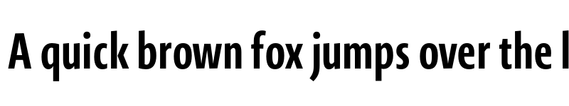 Preview of Novel Sans He XCmp Bold font