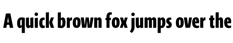 Preview of Novel Sans He XCmp XBold font