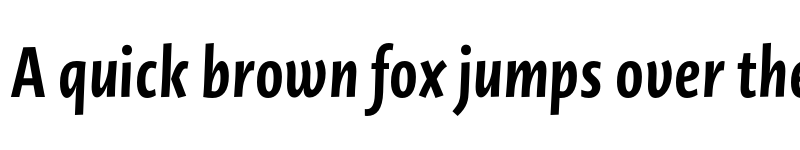 Preview of Novel Sans Pro Cmp Bold It font