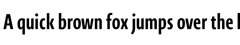 Preview of Novel Sans Pro XCmp Bold font