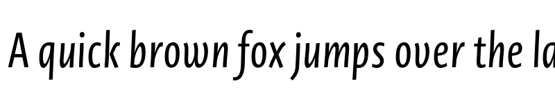 Preview of Novel Sans Pro XCmp Italic font