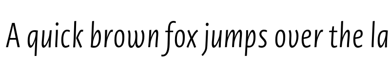 Preview of Novel Sans Pro XCmp Light It font