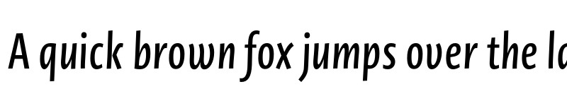 Preview of Novel Sans Pro XCmp Medium It font