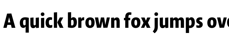 Preview of Novel Sans Pro XCnd XBold font