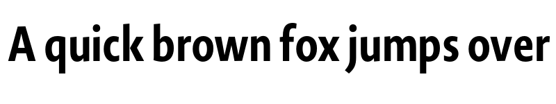 Preview of Novel SansCond Pro Bold font