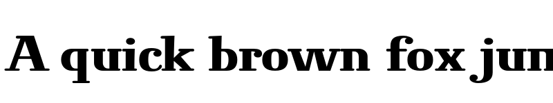 Preview of Novello Pro Bold font