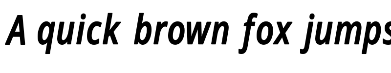 Preview of Novus-Italic Regular font