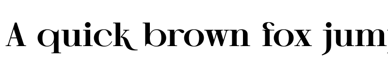 Preview of NT Epika Bold Bold font