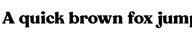 Preview of NT Wagner Bold font