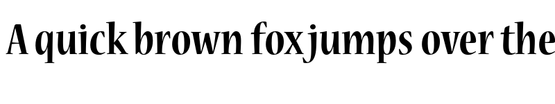 Preview of Nueva Std Bold Condensed font