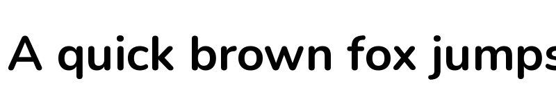 Preview of Nunito Bold font