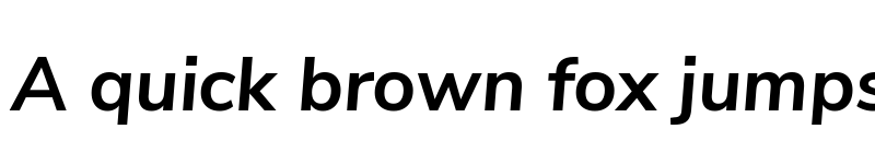 Preview of Nunito Sans Bold Italic font