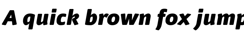 Preview of Nuvo Pro Black Italic font