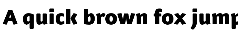 Preview of Nuvo Pro Black font