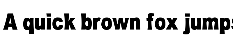 Preview of OMNIBLACK Regular font