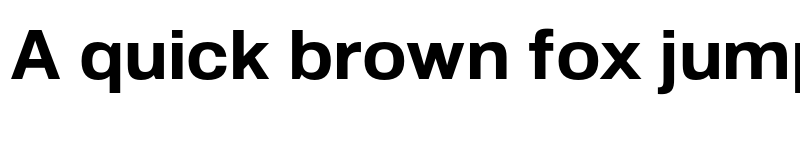 Preview of Orbiter FBS Trial Bold font