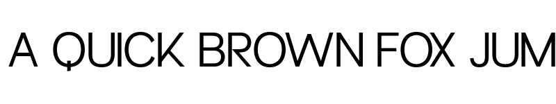 Preview of Oversized Regular font