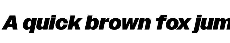 Preview of Owners Black Italic font