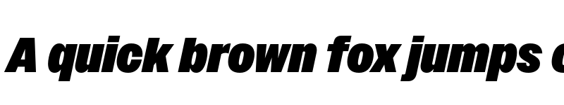 Preview of Owners Narrow XBlack Italic font