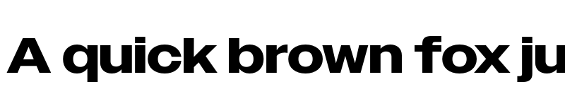 Preview of Owners Wide Bold font