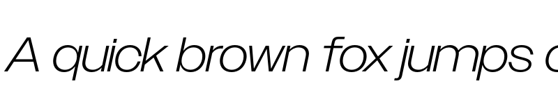 Preview of Owners Wide Light Italic font