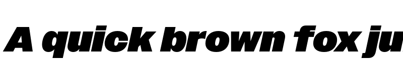 Preview of Owners XBlack Italic font