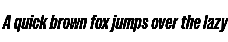 Preview of Owners XNarrow Black Italic font