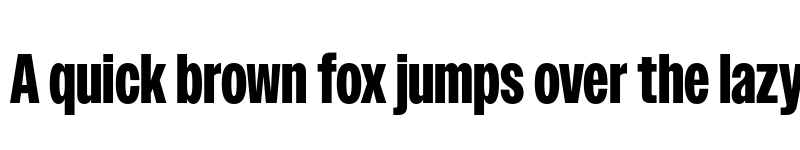 Preview of Owners XNarrow Black font