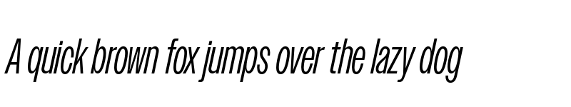 Preview of Owners XNarrow Italic font