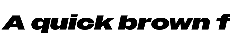 Preview of Owners XWide Black Italic font