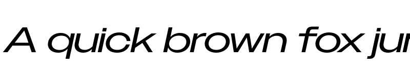 Preview of Owners XWide Italic font