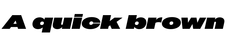 Preview of Owners XWide XBlack Italic font