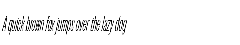 Preview of Owners XXNarrow Light Italic font