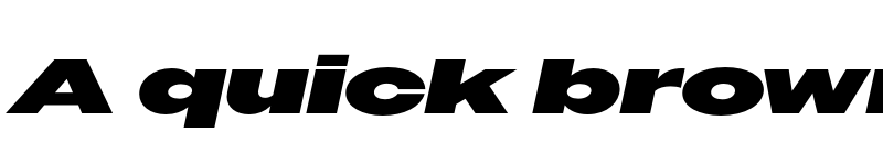 Preview of Owners XXWide Black Italic font