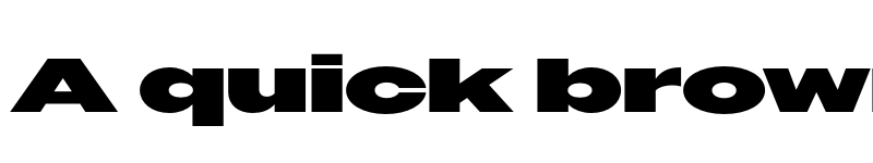 Preview of Owners XXWide Black font