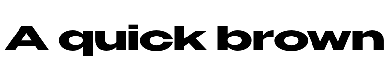 Preview of Owners XXWide Bold font