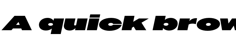 Preview of Owners XXWide XBlack Italic font