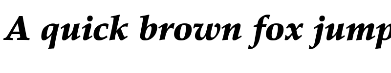 Preview of Palatino LT Black Italic font