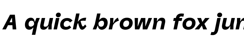 Preview of Panel Sans Black Italic font