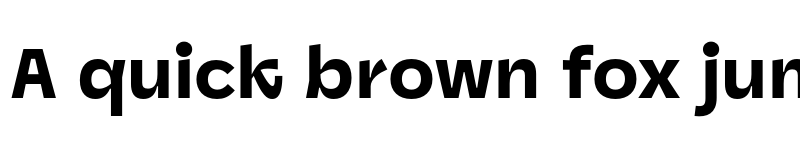 Preview of Panel Sans Black font