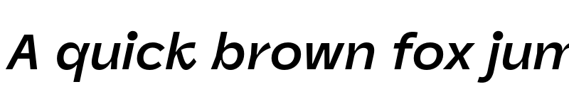 Preview of Panel Sans Bold Italic font