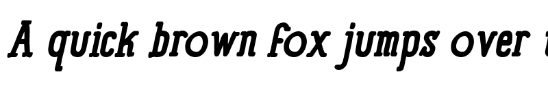 Preview of Panforte Serif Bold Italic font