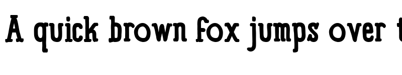 Preview of Panforte Serif Bold font