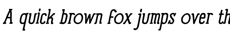 Preview of Panforte Serif Italic font