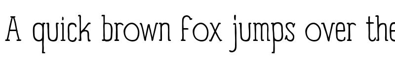Preview of Panforte Serif Light font