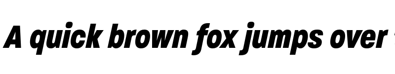 Preview of Paralucent Condensed Heavy Italic font