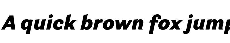 Preview of Parry Grotesque Black Italic font