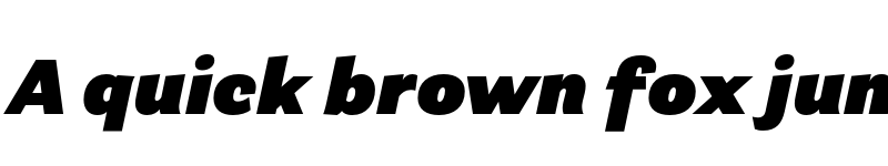 Preview of Parry Grotesque ExtraBlack Italic font