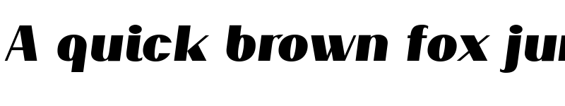 Preview of PassionSansPDar BlackItalic font